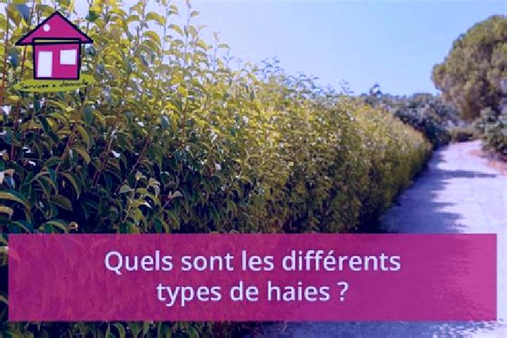 escort Les Haies
