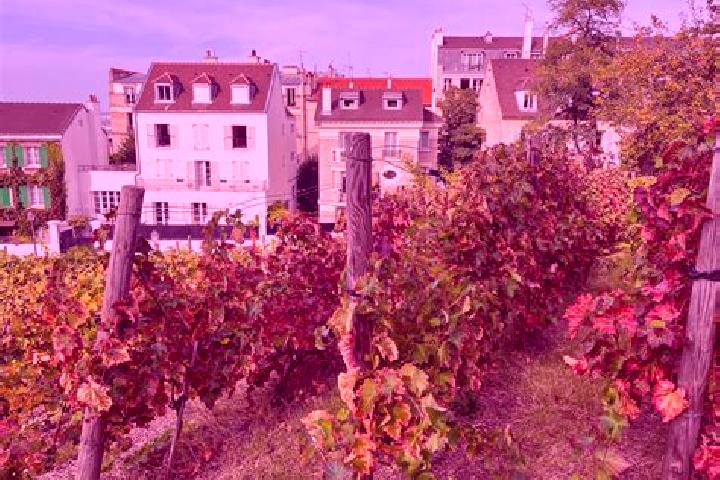 escort Les Rues-des-Vignes