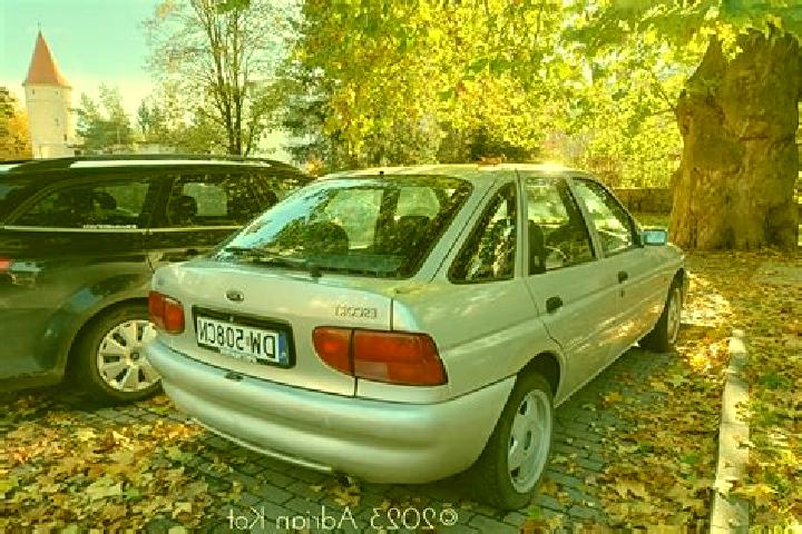 escort Lesznowola