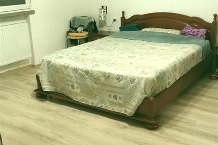 escort Letca Noua