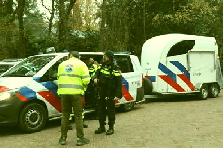 escort Leusden