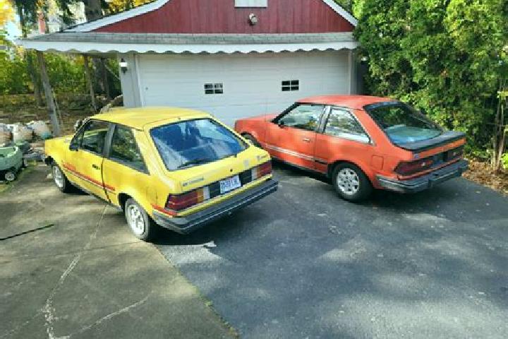 escort Leylan