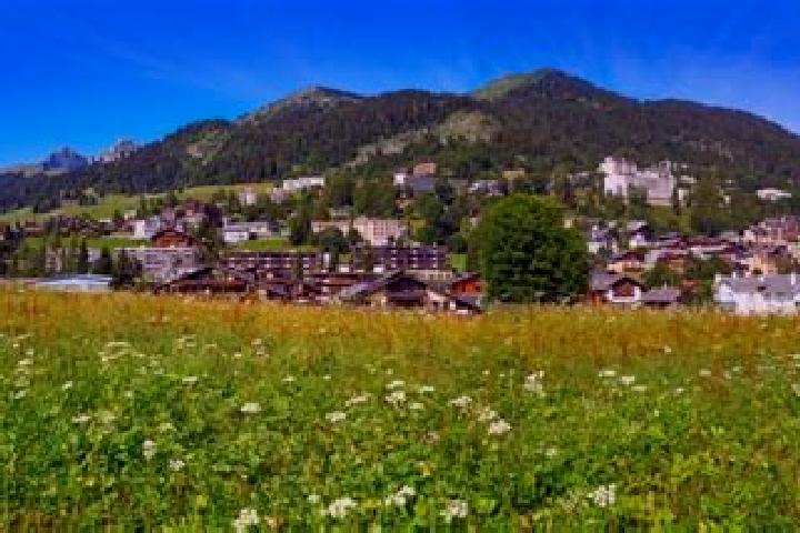 escort Leysin