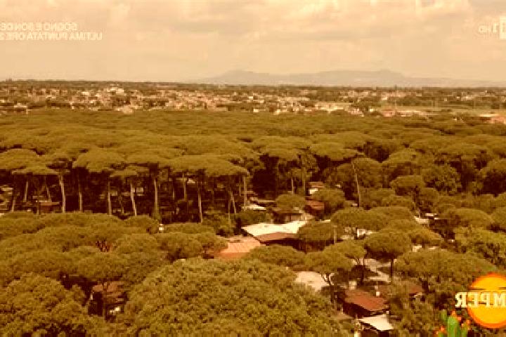 escort Lido dei Pini
