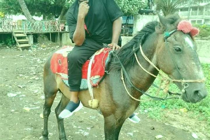 escort Limbe
