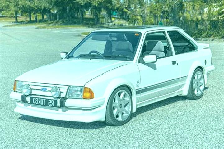 escort Lingenau