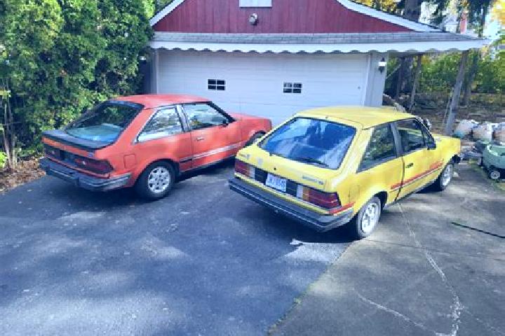 escort Lipovec