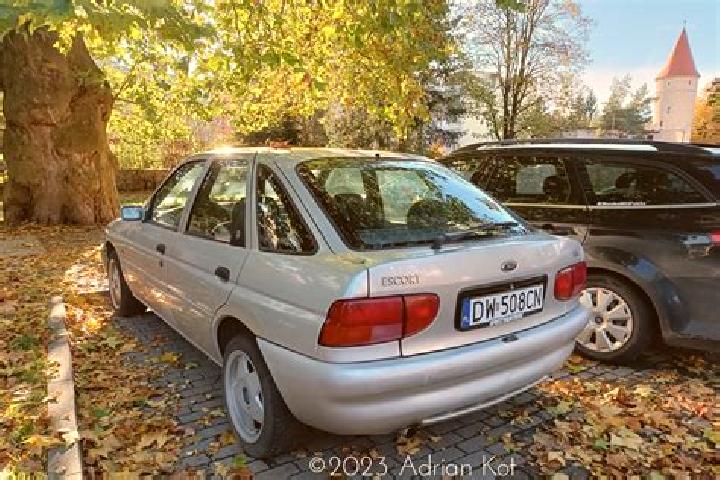 escort Lisewo