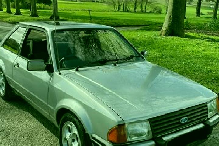 escort Little Silver