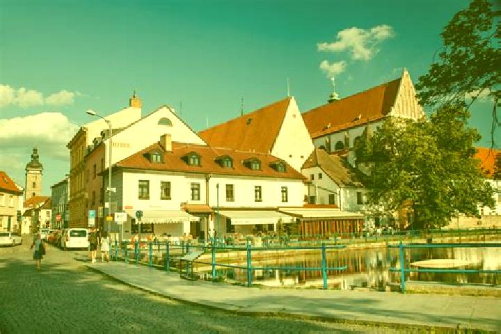 escort Litvinovice