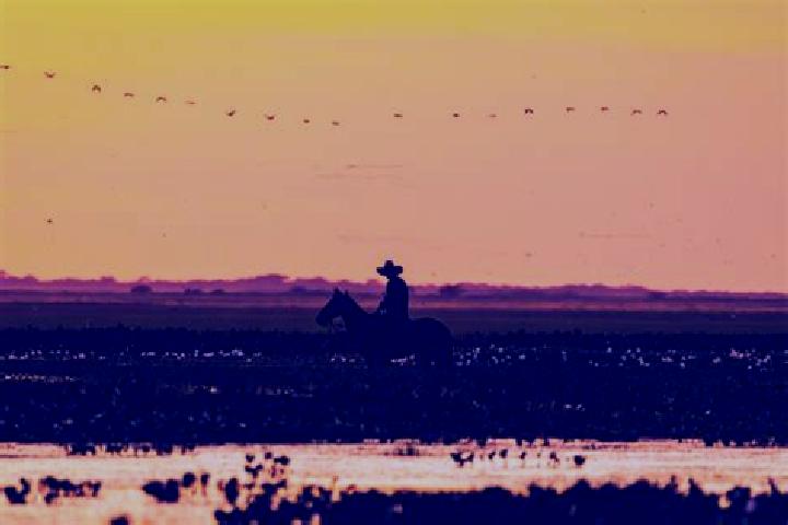 escort Llano de la Y