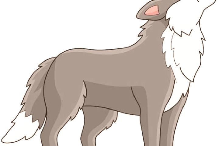 escort Lobo