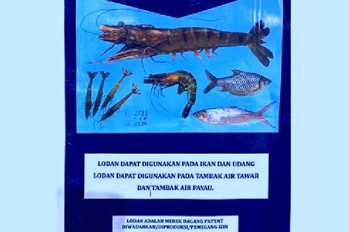 escort Lodan Wetan