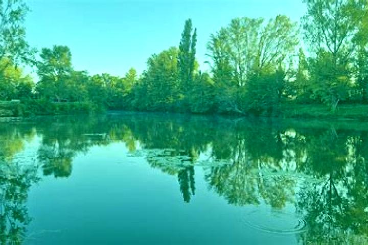 escort Loire-sur-Rhone