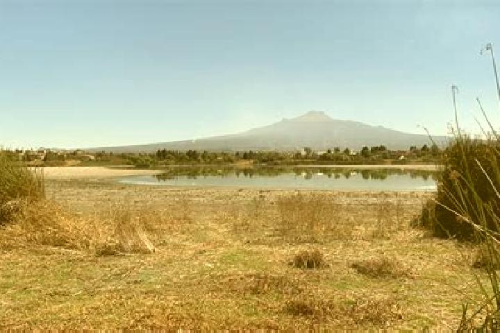 escort Loma de Acuitlapilco