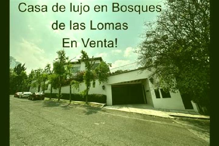 escort Lomas de Santa Cruz