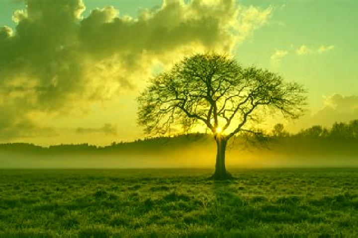 escort Lone Tree