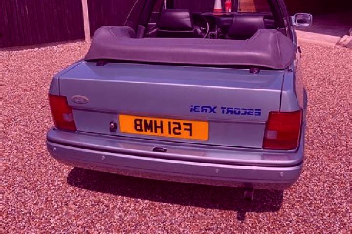 escort Long Sutton