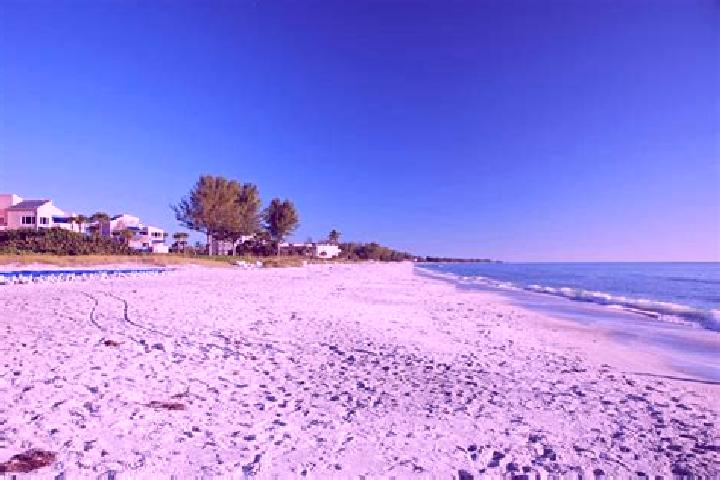 escort Longboat Key