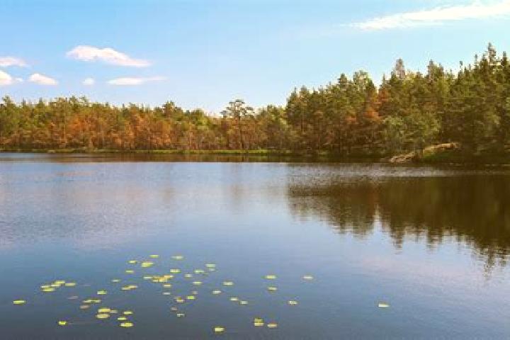 escort Loon Lake