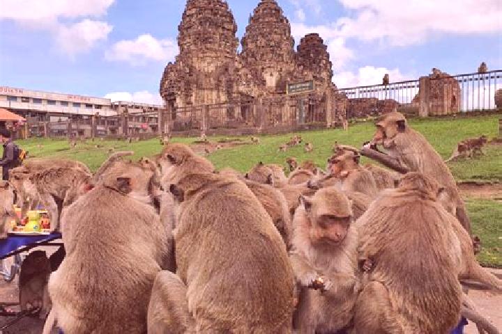 escort Lop Buri