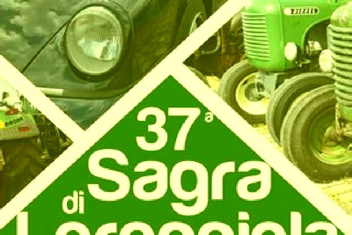 escort Loreggiola