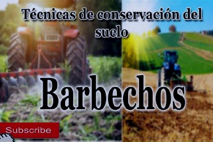escort Los Barbechos