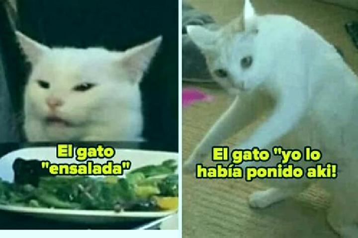 escort Los Gabatos