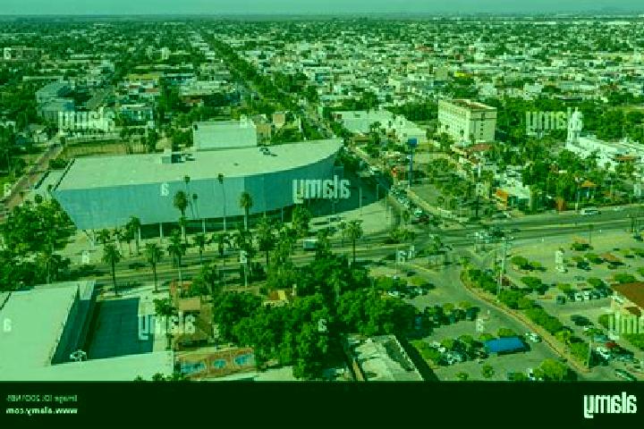 escort Los Mochis