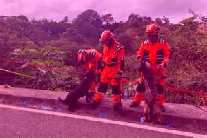 escort Los Ocotes