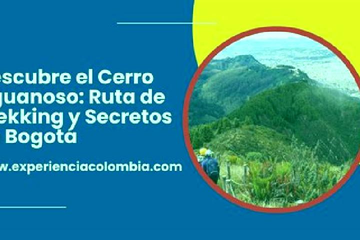 escort Los Planes (Cerro Gordo)
