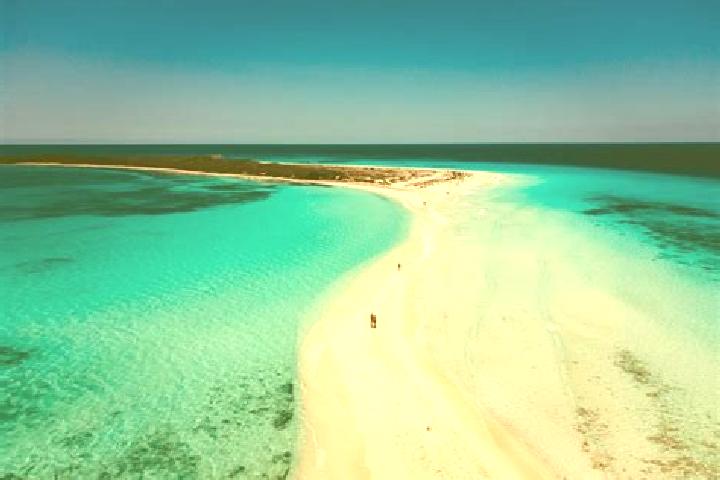 escort Los Roques