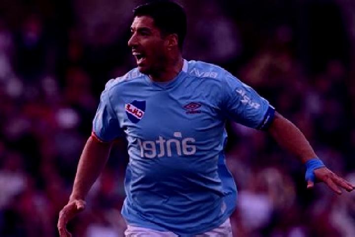 escort Los Suarez