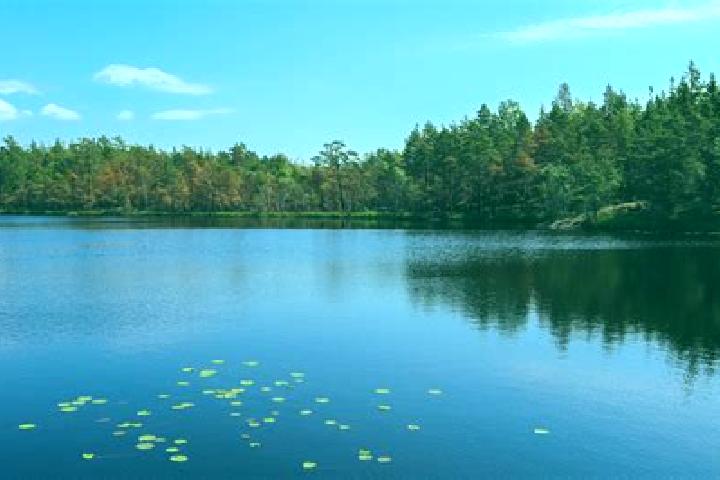 escort Lower Lake