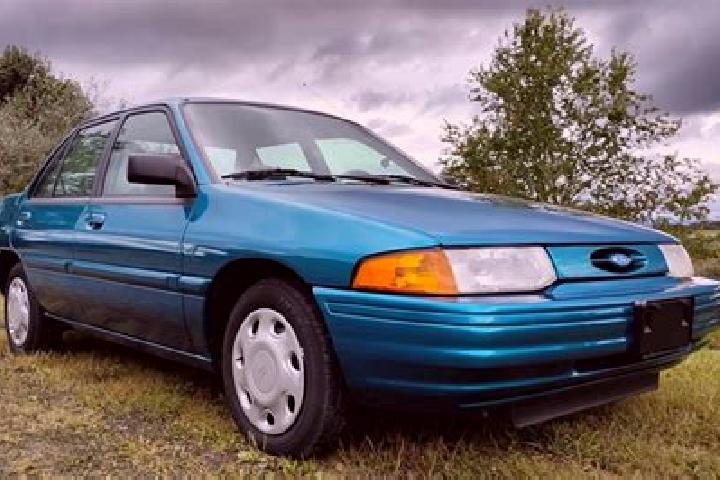escort Lowville
