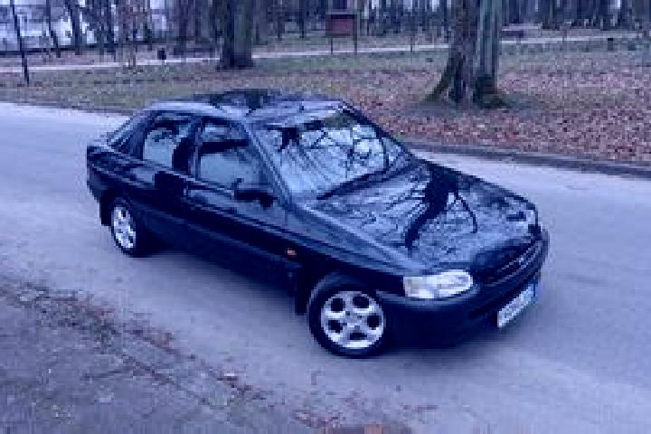 escort Lubicz Dolny