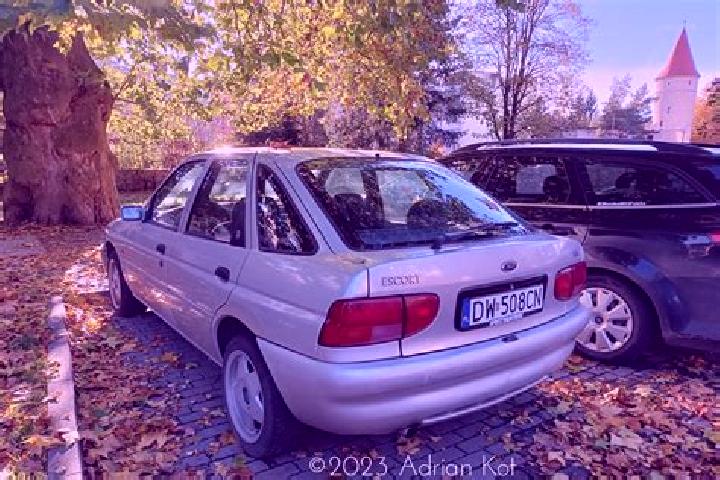 escort Luhden