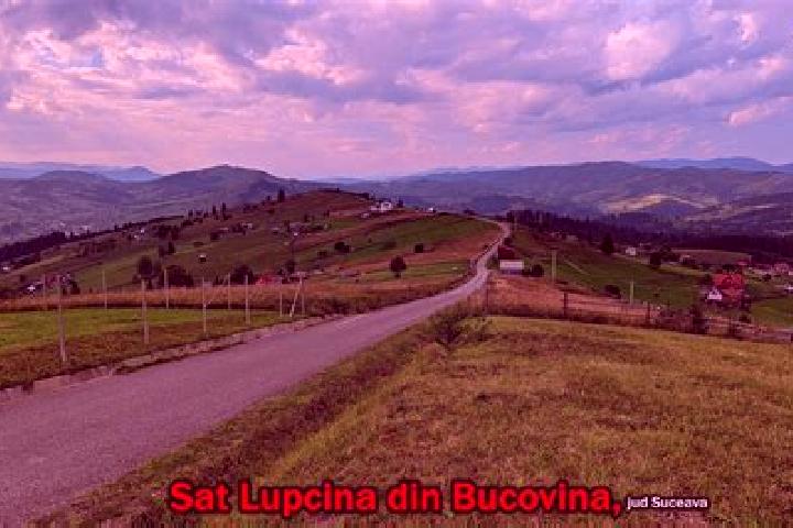 escort Lupcina