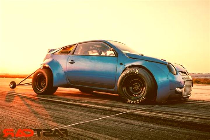 escort Lupo