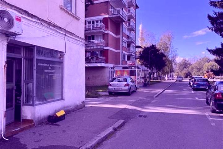 escort Luzani Bosanski