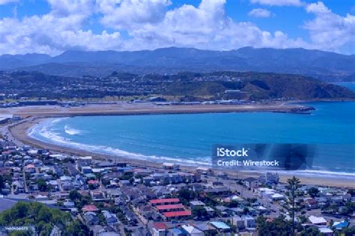 escort Lyall Bay