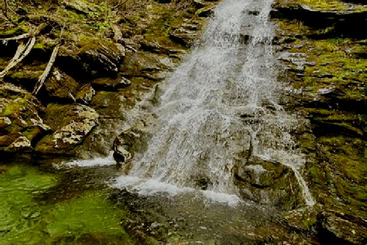 escort Lyons Brook