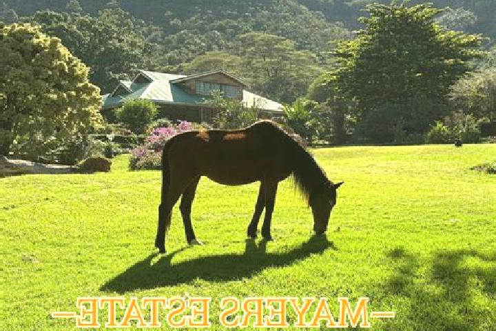 escort Maai Mahiu