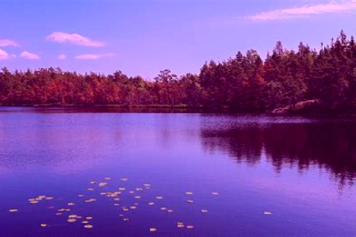 escort Madison Lake