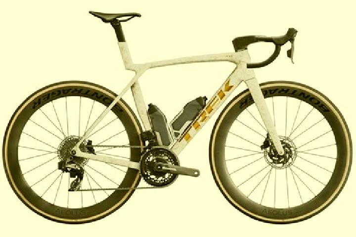 escort Madone