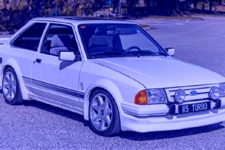 escort Magpet