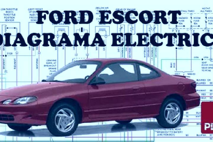 escort Magreta
