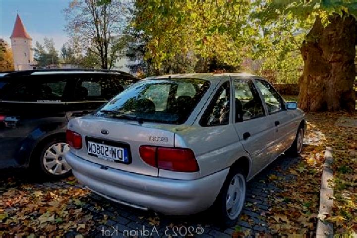 escort Maitzborn