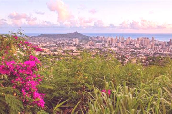 escort Makiki / Lower Punchbowl / Tantalus