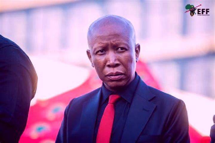 escort Malema